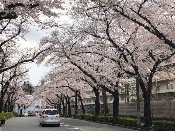 高齢者の閉じこもり原因は？その解決策は？