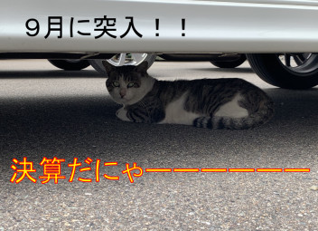 決算　けっさん　ケッサン