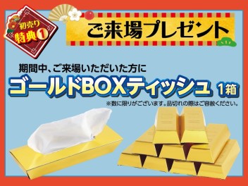 ！！初売りは１３日まで！！