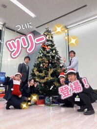 ツリーだしました＾＾
