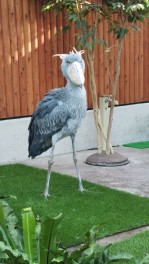 掛川花鳥園に行ってきました！