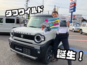 NEWハスラー、NEWハスラー タフワイルド登場！