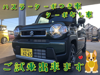 ハスラーターボ車・ターボなし車試乗出来ます！