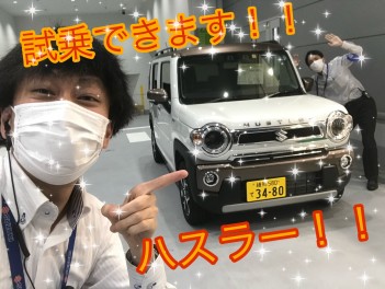 先月の人気車種はこれだ！！！