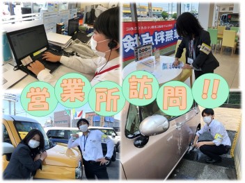 ☆新入社員のみなさん、元気にしてますか(*'ω'*)☆