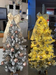 クリスマスの様子をお届け！クリスマスディスプレイ★☆彡