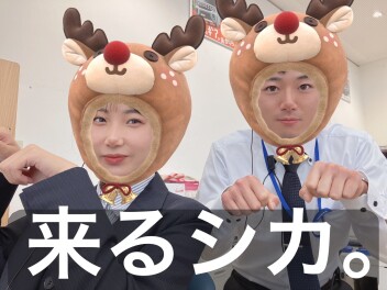 金土日は試乗