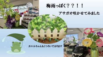 梅雨入りはいつなんでしょうか・・・・