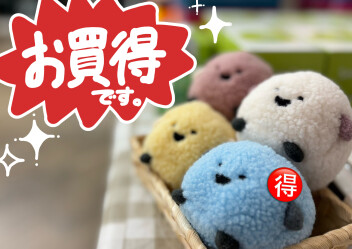 オトクな情報ぞくぞく！