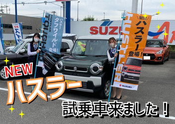 ハスラー試乗車きました！