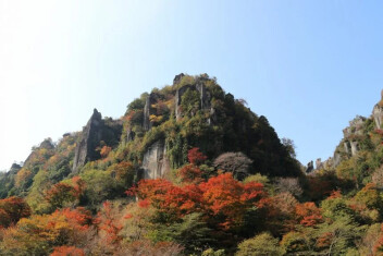 保険診断いかがでしょうか？？