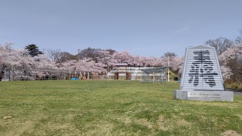 天童、舞鶴山での人間将棋