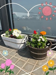 ショールームのお花植え替えしました♡女子改♡