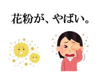 花粉から車を守りましょう！