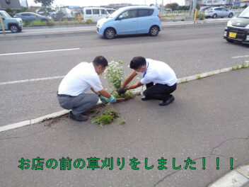 連休前にお店の前の草刈りをしました！！！