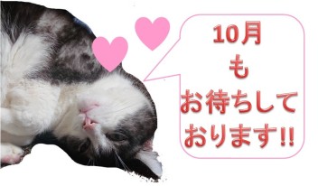 愛車無料点検沢山のご来店有難うございました!!!!
