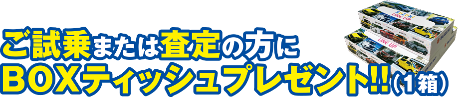 ご試乗または査定の方にBOXティッシュプレゼント！！（1箱）