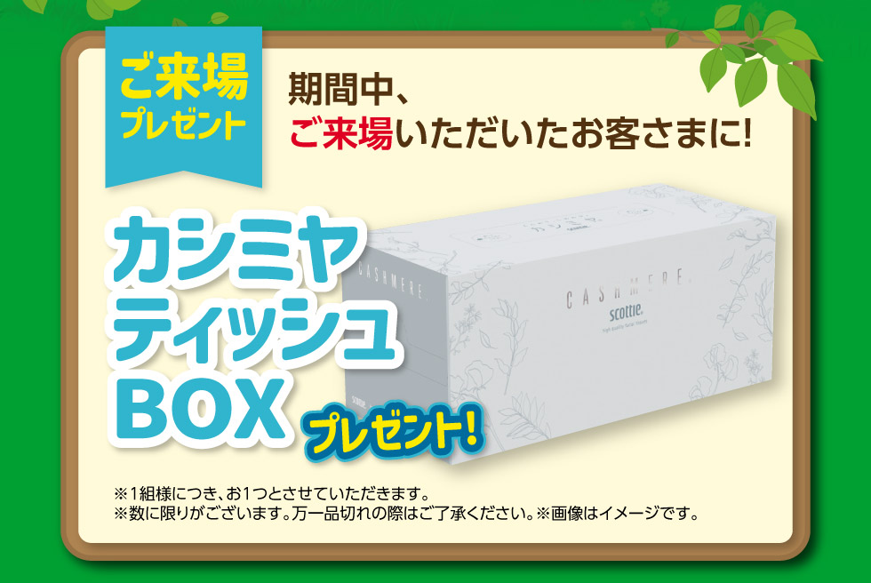 ご来場で『カシミヤティッシュBOX』プレゼント！
