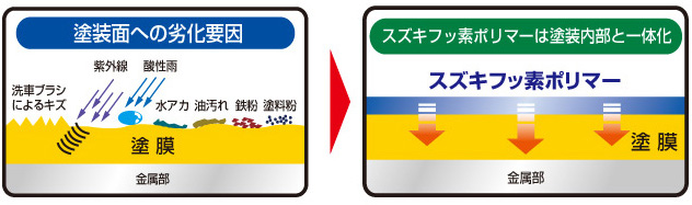 塗装面への劣化要因、スズキフッ素ポリマーは塗装内部と一体化