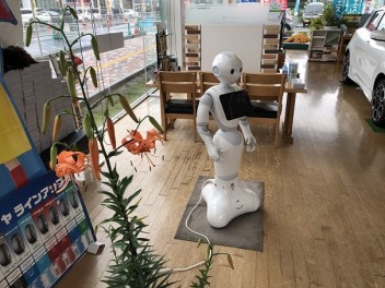 ユリ