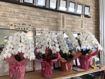 お祝いを頂きありがとうございます！