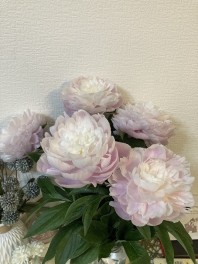 先日の