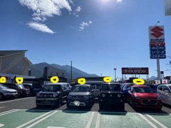 スズキ小型車特集！