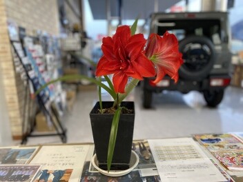 時期ですね！！