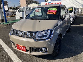 IGNIS