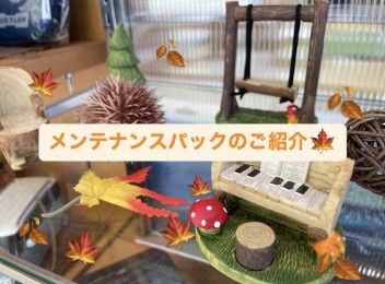 メンテナンスパックのススメ！