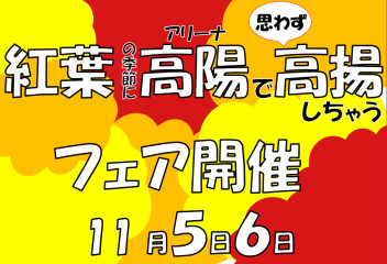 紅葉の季節に高陽で高揚しちゃうフェア開催★早期冬タイヤ購入キャンペーン★