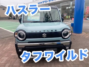 タフワイルドぜひチェックしてください★