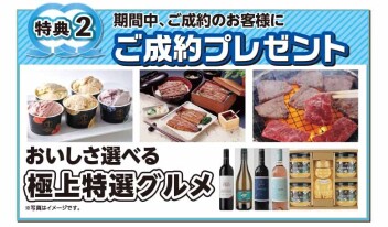 決算！スズキの日は最終日です！