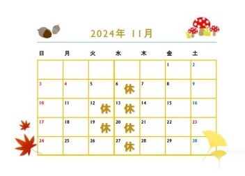 ◆◆◆11月定休日のご案内◆◆◆