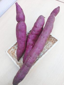 秋の３連休展示会のお知らせです！
