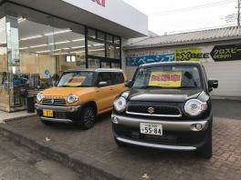 ☆ １４日・１５日 週末展示会 ☆