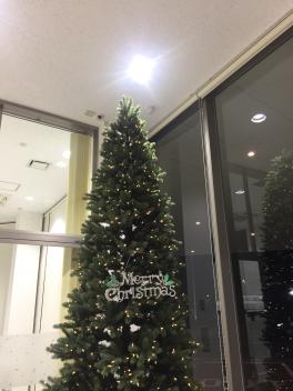 ☆今週末は今年最後の展示会です☆