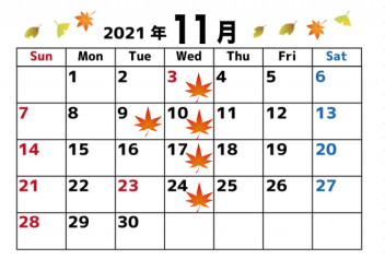 11月定休日のご案内☆彡