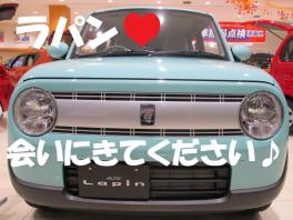 ♥ラパン紹介♥