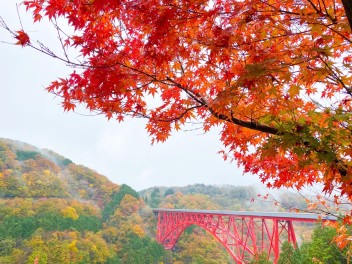 紅葉を見にいこうよ～