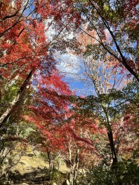 おすすめ紅葉スポット！