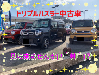 ハスラー3兄弟が中古車？！