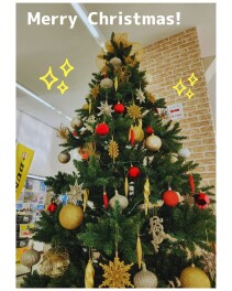 大きなツリーお迎えしました( *´艸｀)ステキ