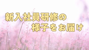 新入社員研修の様子をお届けします♪