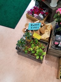 あったかいですね！
