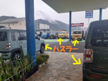 ハスラー大人気です♪