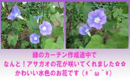 ★決算フェア＆夏季休業のお知らせ★