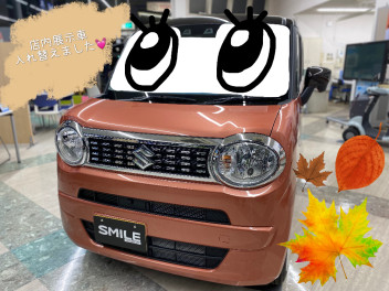 かわいくて人気者♪