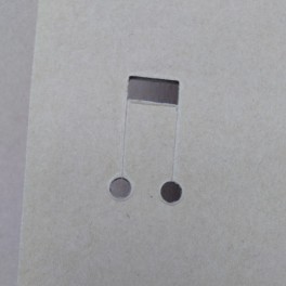 春が近づいています！