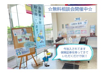 自動車保険無料相談会してます！！